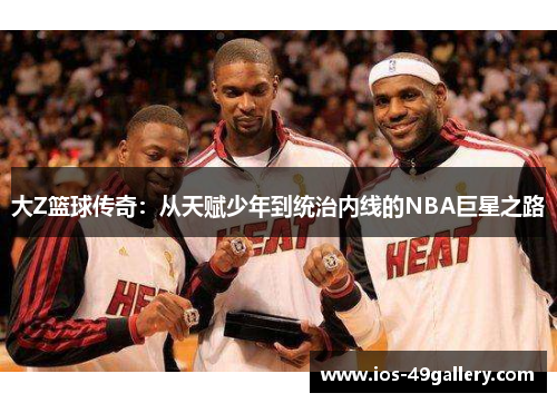 大Z篮球传奇：从天赋少年到统治内线的NBA巨星之路