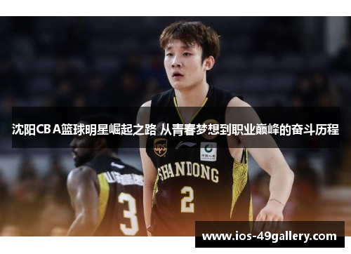 沈阳CBA篮球明星崛起之路 从青春梦想到职业巅峰的奋斗历程